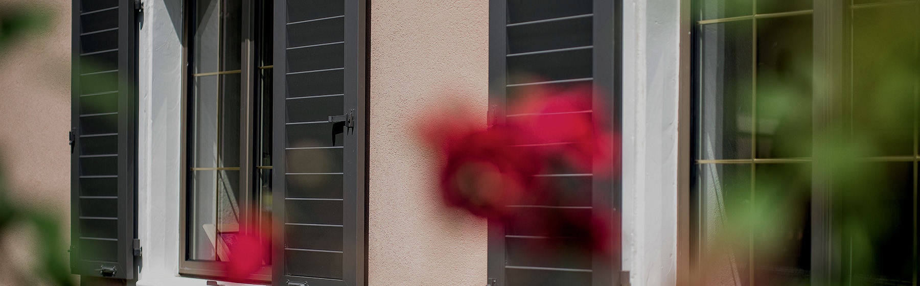 Photo header volet